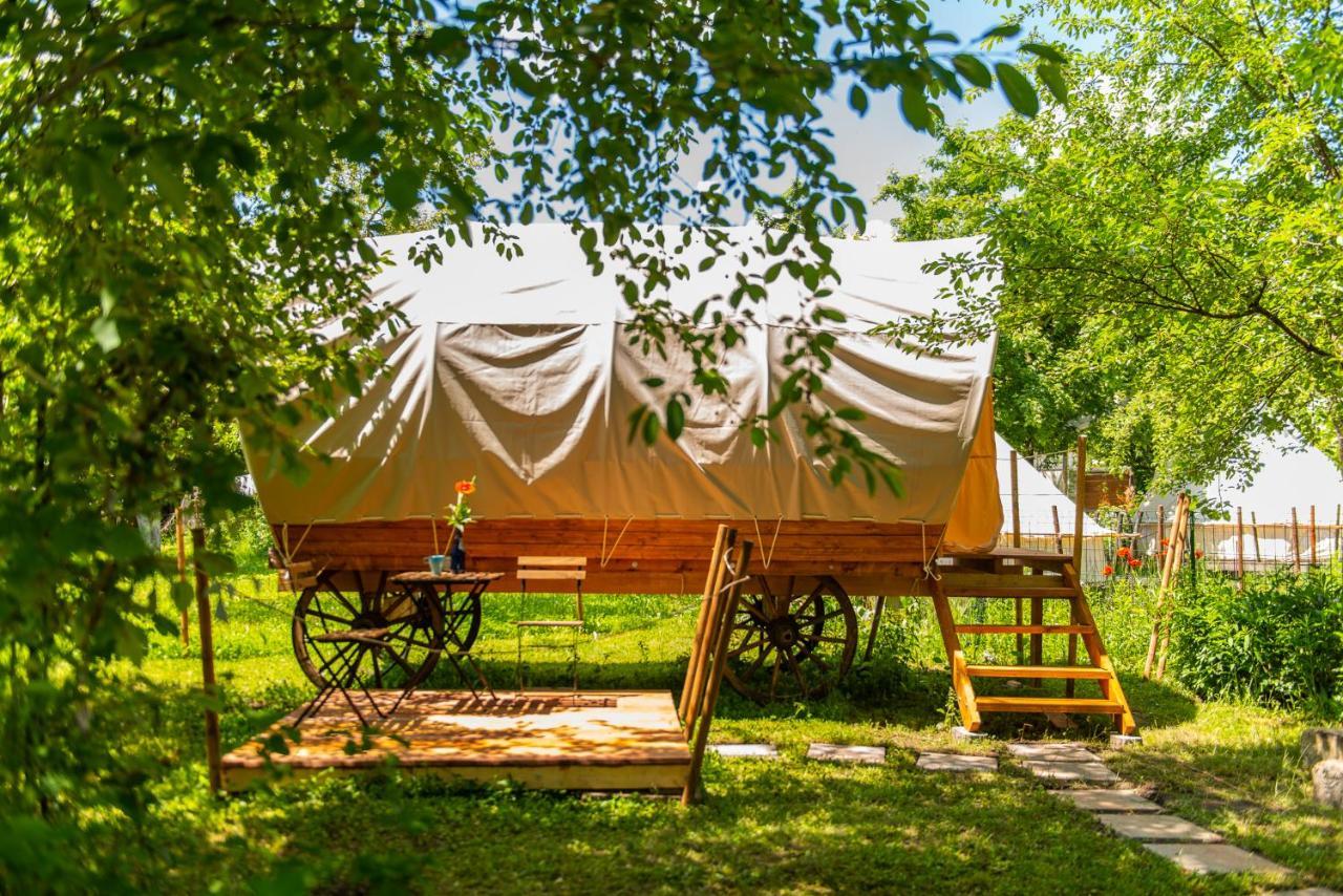 Dragonfly Gardens - The Wagons Hotel Brasov Exterior photo
