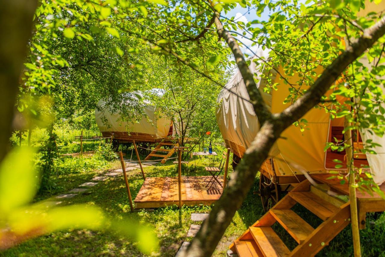 Dragonfly Gardens - The Wagons Hotel Brasov Exterior photo