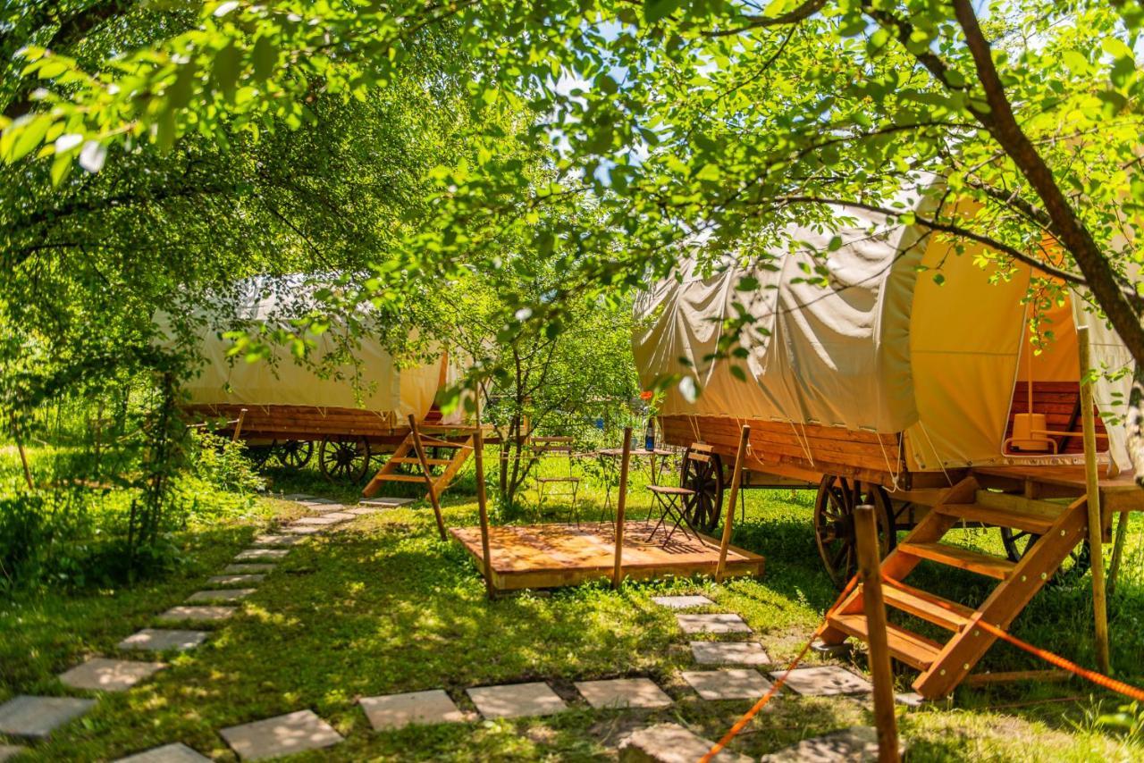 Dragonfly Gardens - The Wagons Hotel Brasov Exterior photo
