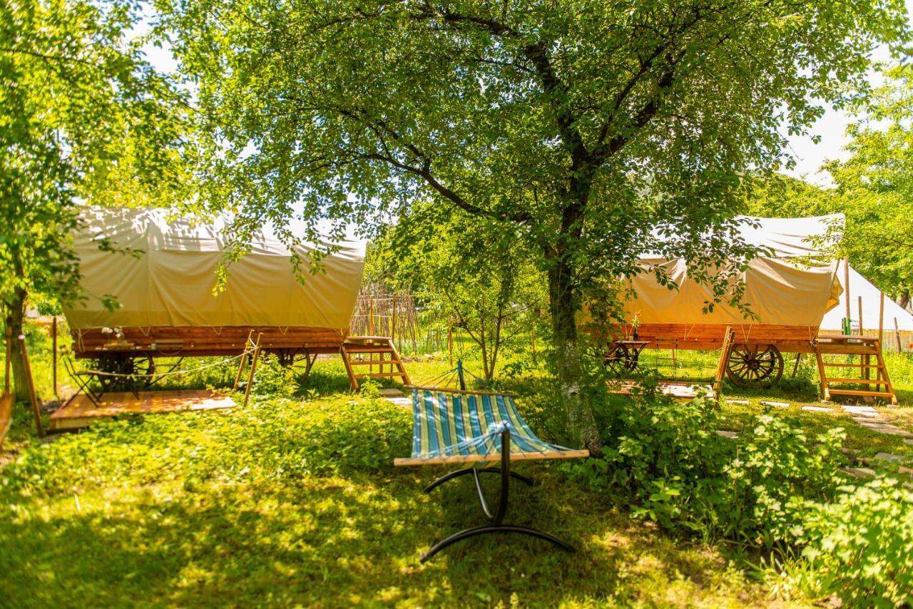 Dragonfly Gardens - The Wagons Hotel Brasov Exterior photo