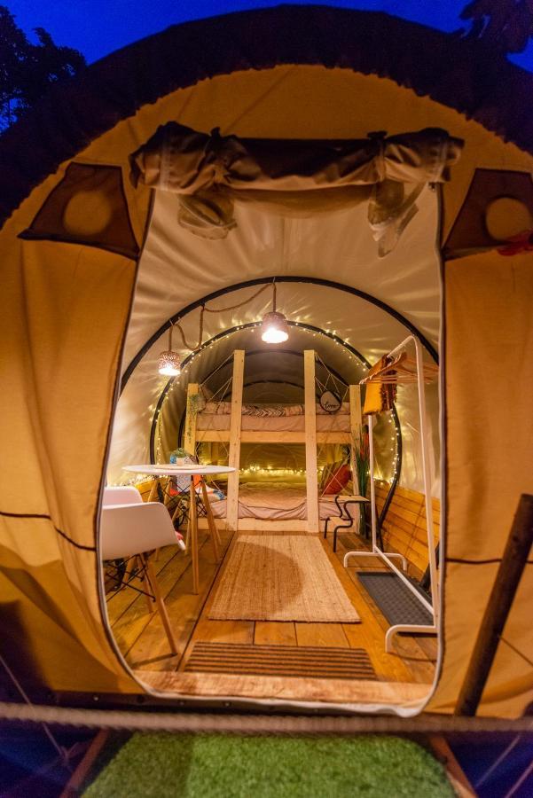 Dragonfly Gardens - The Wagons Hotel Brasov Exterior photo