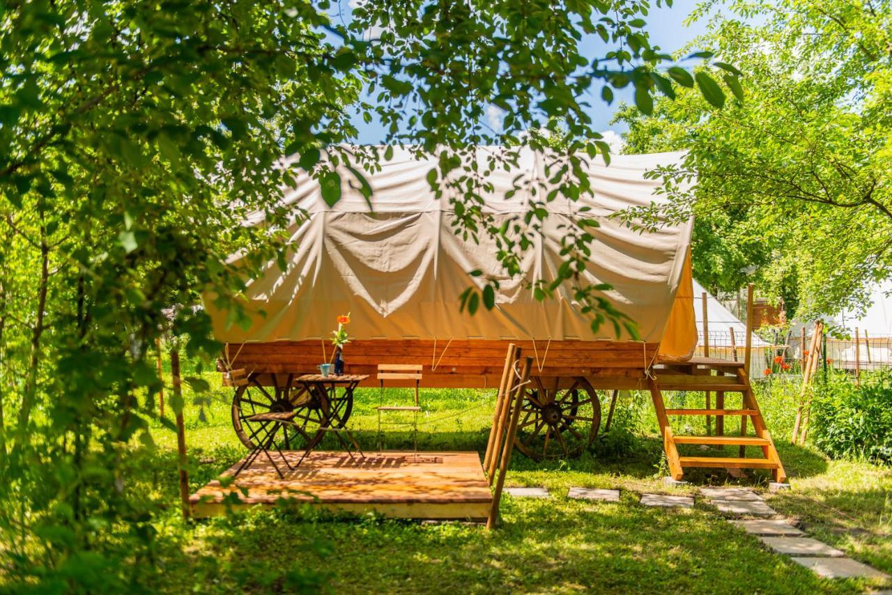 Dragonfly Gardens - The Wagons Hotel Brasov Exterior photo