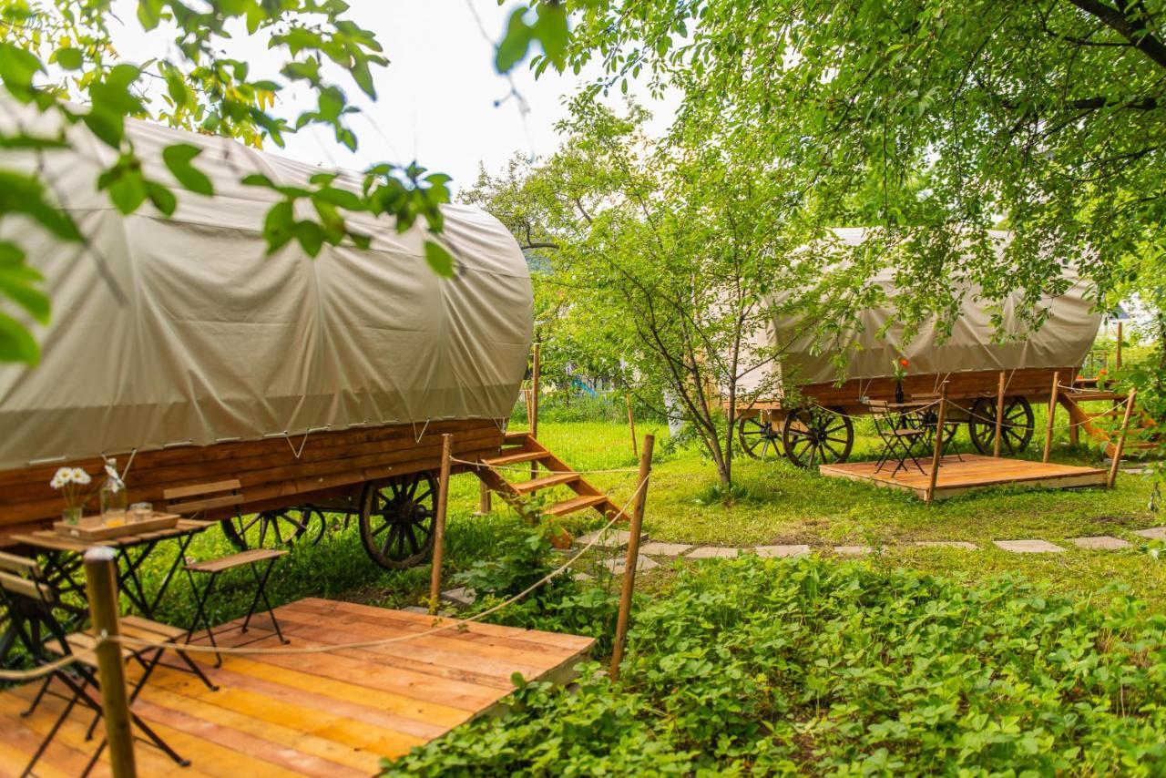 Dragonfly Gardens - The Wagons Hotel Brasov Exterior photo