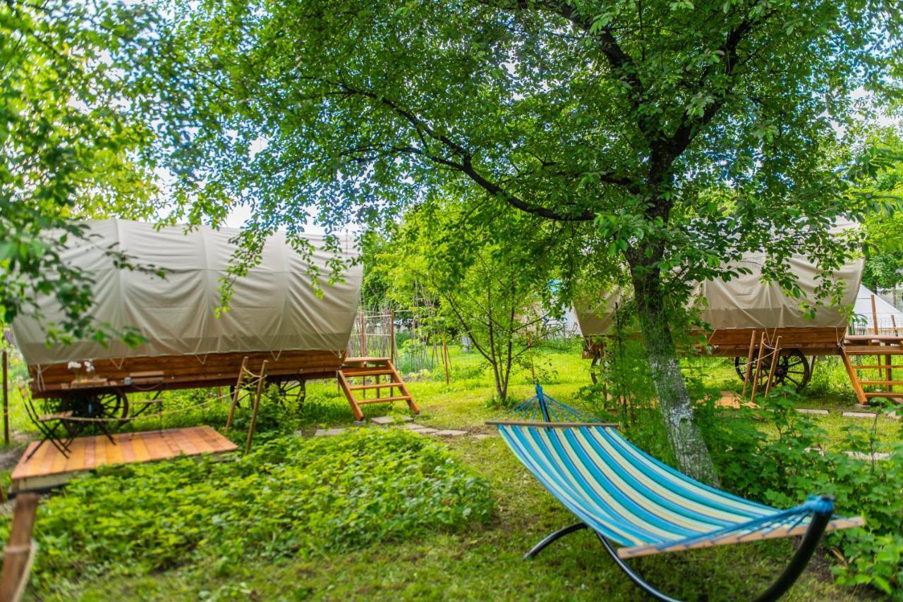 Dragonfly Gardens - The Wagons Hotel Brasov Exterior photo