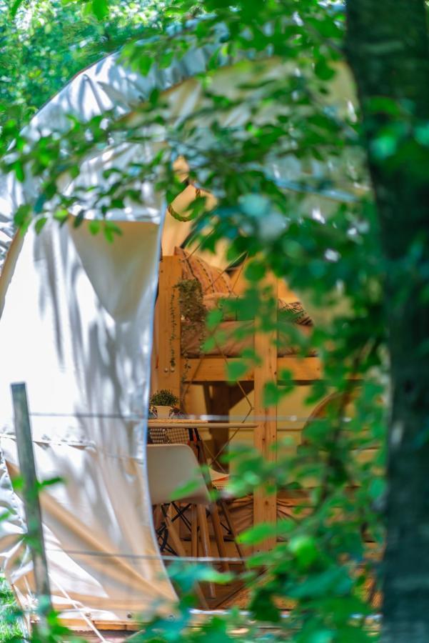 Dragonfly Gardens - The Wagons Hotel Brasov Exterior photo