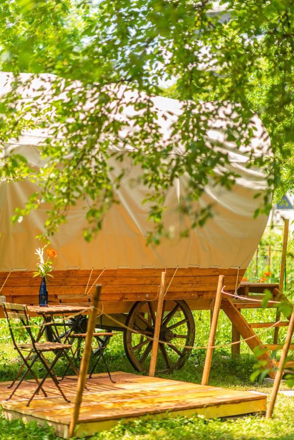 Dragonfly Gardens - The Wagons Hotel Brasov Exterior photo