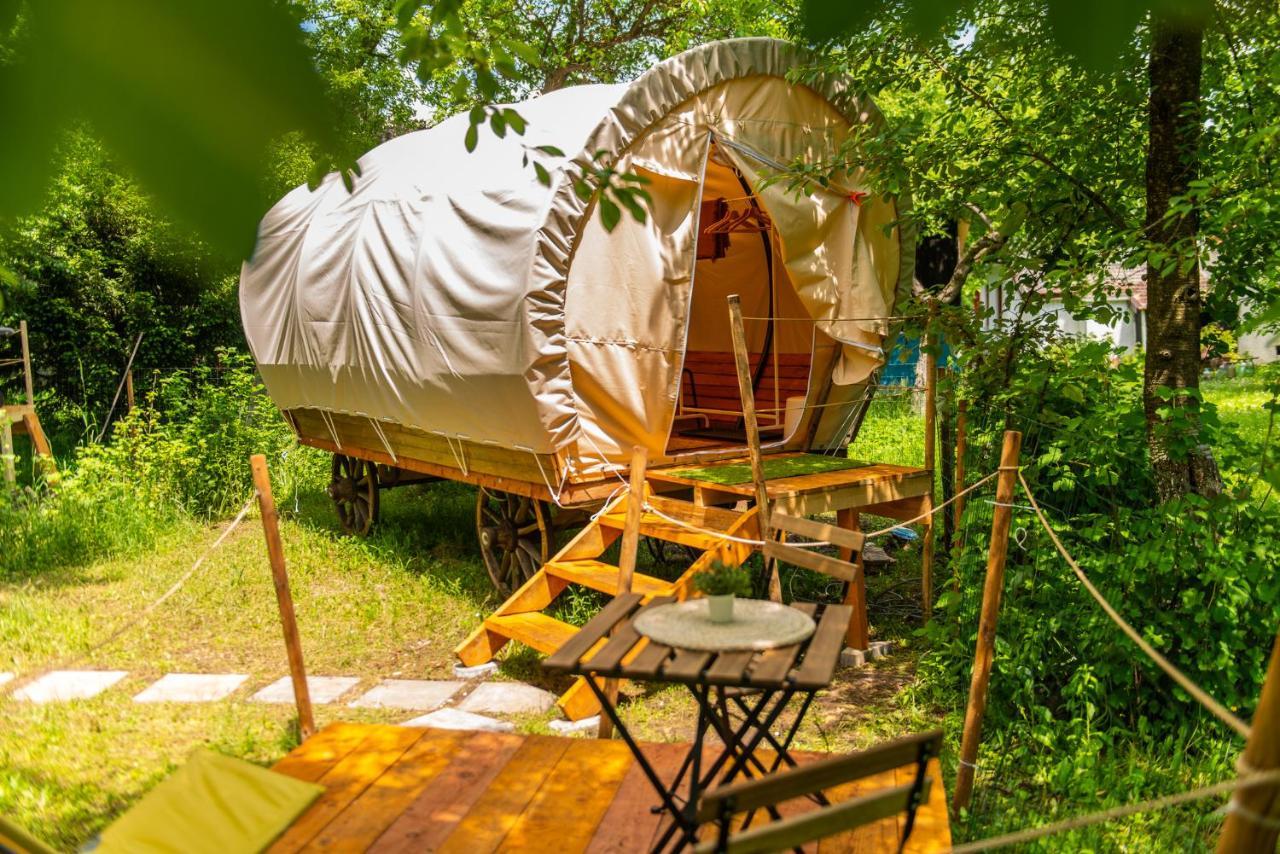 Dragonfly Gardens - The Wagons Hotel Brasov Exterior photo